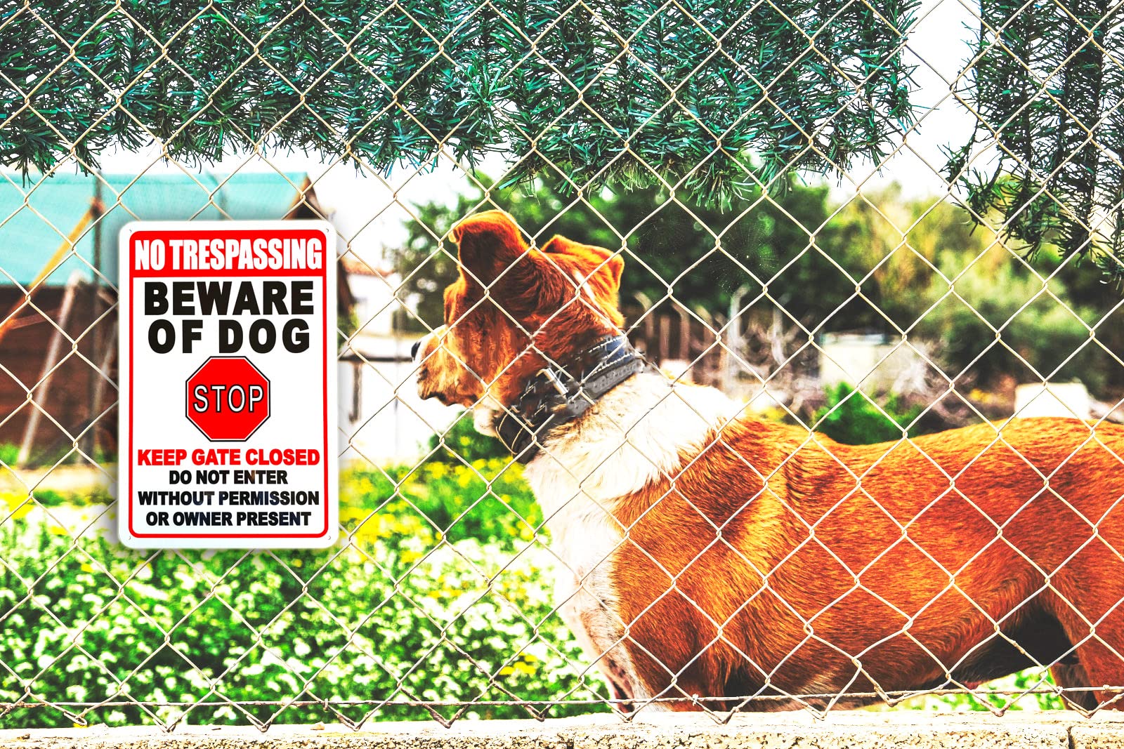 No Trespassing Beware of Dogs Stop Keep Gate Closed Do Not Enter Without Permission or Owner Present Sign for Room Wall Bathroom Decoration 12 x 8 Inch (2 Pack)