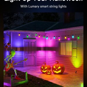 Lumary 56FT Smart Outdoor String Lights with APP/Remote/Voice Control, RGBAI Color Changing Patio Lights with Warm White 15+1 LED Bulbs, Permanent Outdoor Lights IP65 Waterproof