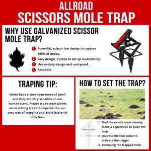Mole Trap That Kill Best, ALLRoad Easy Setup Black Mole Trap for Lawns, Reusable and Non-Toxic Eliminator Scissor Trap - Galvanized Steel 2 Pack