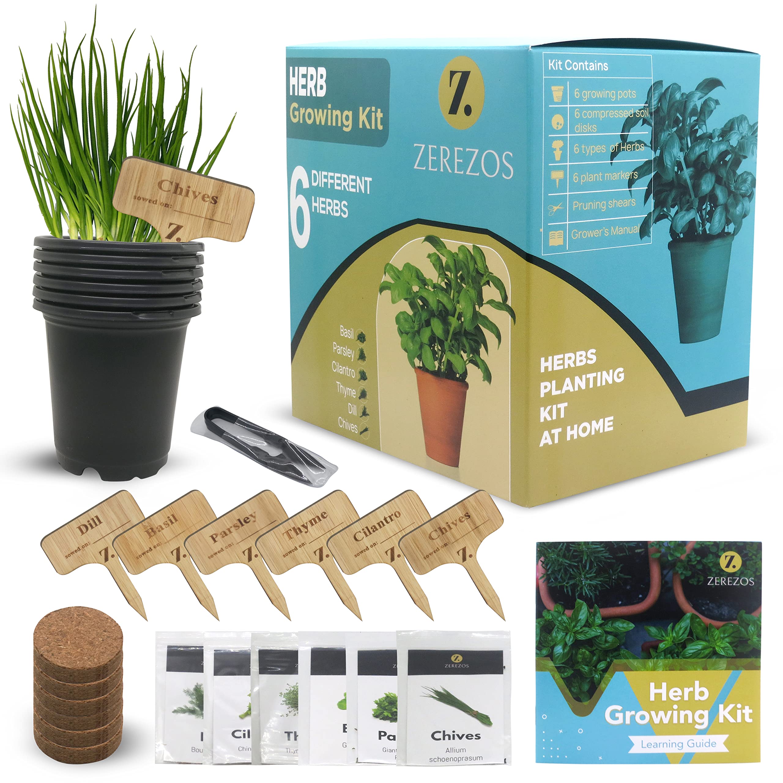 Bonsai Tree Starter Kit for Beginners with Potting Soil Discs, Live Seeds, Small Plant Markers, Gardening Shears, Planter Pots for Growing and Planting Natural Miniature DIY Indoor Gardens