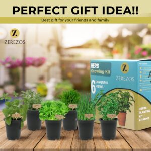 Bonsai Tree Starter Kit for Beginners with Potting Soil Discs, Live Seeds, Small Plant Markers, Gardening Shears, Planter Pots for Growing and Planting Natural Miniature DIY Indoor Gardens