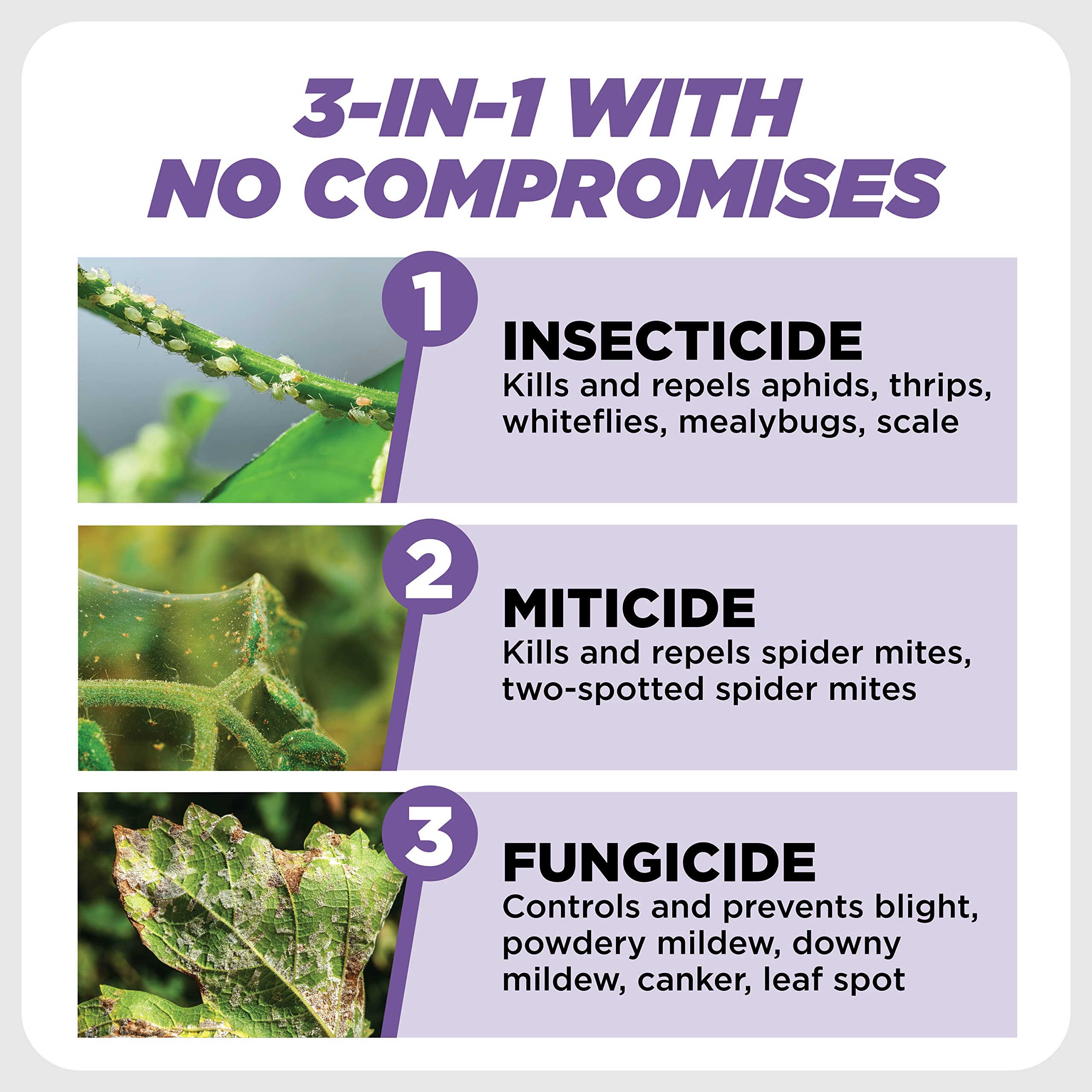 Earth's Ally 3-in-1 Plant Spray | Insecticide, Fungicide & Spider Mite Control, Use on Indoor Houseplants and Outdoor Plants, Gardens & Trees - Insect & Pest Repellent & Antifungal Treatment, 24oz