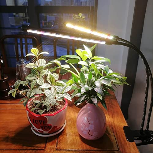 JINHONGTO Plant Light for Indoor Plants, 3000k/5000k/660nm Full Spectrum Clip On Grow Light, 3 Light Modes & 10 Dimming Levels with Timer Function, Plant Growing Lamp