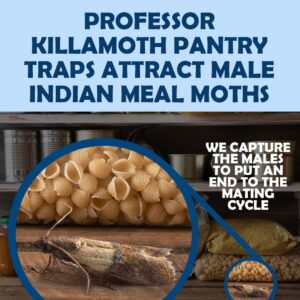 Professor Killamoth Pantry Moth Traps 6 Pack | New Blue Design | Child and Pet Safe | Premium Attractant