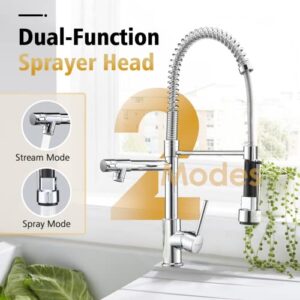 Totopia Pull Down Kitchen Faucet, Stainless Steel Kitchen Sink Faucet with Sprayer, 2-spout, Single-Handle Control, High Arc Spring Design, Easy Installation,Brushed Nickel