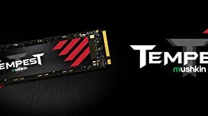 Mushkin Tempest – 1TB PCIe Gen3 x4 NVMe 1.4 – M.2 (2280) Internal Solid State Drive (SSD) – 3D NAND Flash - (MKNSSDTS1TB-D8)