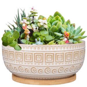 g epgardening 8 inch ceramic succulent planter pots for indoor plants round shallow bonsai planter pot with drainage and bamboo saucer white