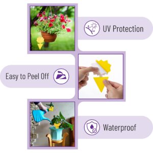 Sticky Fruit Fly Trap, 13 pcs, Fungus Gnat Sticky Trap with Shovel, Fly Traps for Indoors and Outdoor, Fruit Fly Killer, Gnat Sticky Traps for Plants, Fungus Gnat Killer