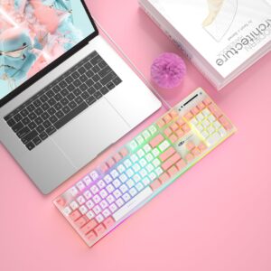 Camiysn Gaming Keyboard, Wired Keyboard with RGB Backlit, Full Size Keyboard with White&Gray Mixed Color Keycaps, Keyboard with 26 Keys Anti-ghosting for Computer/PC/Laptop/Mac/Windows/Office