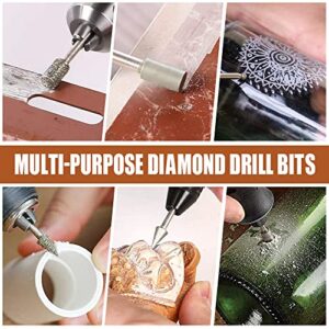 Diamond Drill Grinding Bit Set, Stone Carving Rotary Tools Polishing Kits Diamond-Coated with 1/8-inch Shank Universal Fitment for Stone Glass Ceramics