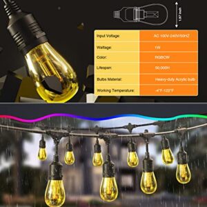 genlar Smart Christmas String Lights, APP Control Patio Lights LED RGBCW Color Changing Lights Dimmable Waterproof Shatterproof Commercial Hanging Lights for Outdoor Cafe Garden (48ft/15bulbs)