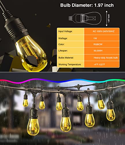 genlar Smart Christmas String Lights, APP Control Patio Lights LED RGBCW Color Changing Lights Dimmable Waterproof Shatterproof Commercial Hanging Lights for Outdoor Cafe Garden (48ft/15bulbs)