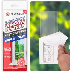 window fly traps indoor clear 15pk strips indoor. the only double strip trap for home. paper catchers inside home flypaper house killer bug catcher