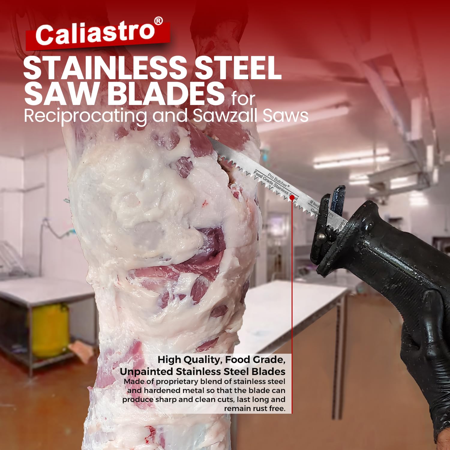 Caliastro 9-Inch Stainless Steel Frozen Meat Bone Cutting Saw Blades for Reciprocating and Sawzall Saws 5-Pack