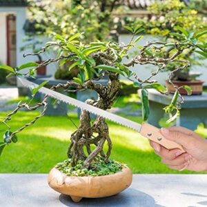 Bonsai Pruning Saw, Small Tooth Ergonomic Firm Professional Pruning Saw for Fruit Ranch for Men Women for Courtyard Garden