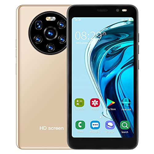 Heayzoki Mobile Phone, 5.45in 512MB+4GB Dual Card Dual Standby Smart Phone,HD Screen and Camera,for mate40 pro.(Gold)