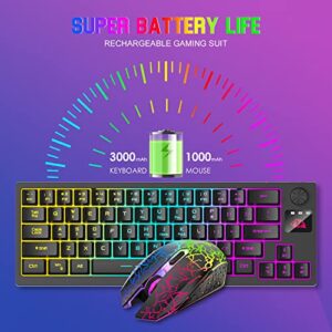 Wireless Gaming Keyboard and Mouse Combo,12 RGB Backlit with Rotary Knob,Long-Lasting Rechargeable Battery 4000mAh,N-Key Rollover,Quick and Quiet Typing Keyboard and Mouse for PC PS4 PS5(Black)
