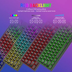 Wireless Gaming Keyboard and Mouse Combo,12 RGB Backlit with Rotary Knob,Long-Lasting Rechargeable Battery 4000mAh,N-Key Rollover,Quick and Quiet Typing Keyboard and Mouse for PC PS4 PS5(Black)