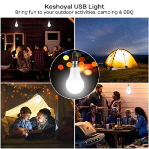 Keshoyal USB Light,Premium Emergency Light ,5W DC5V USB LED Camping Lantern with USB Cable ,9ft Length Cord Tent Light,Portable Light for Warehouse Fishing Outdoor Portable LED Bulb, Warm White