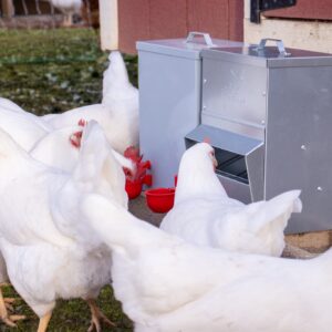 RENTACOOP Galvanized Chicken Trough Feeder, Weatherproof Poultry Food Dispenser with Lid,10LB Capacity