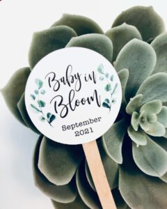 succulent favor tags baby shower thank you tags on stick baby in bloom - pack of 10