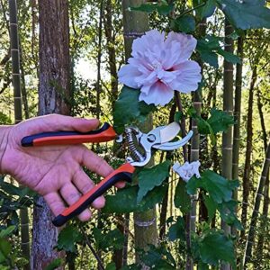 Gardening Shears Garden Clippers, Heavy Duty Tree Trimmers and Rose Pruning Shears, Professional Bypass Pruner Hand Shears, Hedge Clippers for Plants, Garden Tools Gardening Gift