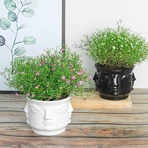 T4U Face Succulent Pots with Drainage 2-Pack - Small Ceramic Head Succulent Planter for Tiny Cactus, Herb, Bonsai Plant, Mini Flower Pot for Indoor Home Office Living Room Decor (No Plants)