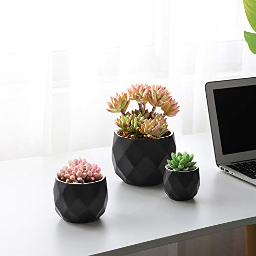 T4U Succulent Pots with Drainage Hole 3-Pack - Small Ceramic Succulent Planter for Tiny Cactus, Herb, Bonsai Plant, Mini Flower Pot for Indoor Home Office Living Room Decor (No Plants)