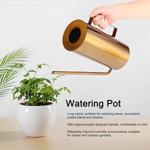 Watering Can for Indoor Plants, Stainless Steel House Watering Can for Bonsai Orchid Desk Office Water Can Irrigation Tool with Long Gooseneck Spout Stylish Decoration for Outdoor Garden House Flower