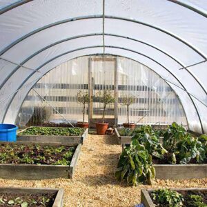GRELWT Greenhouse Film 8 x 25 ft, 6 mil Thickness Covering Plastic, UV Resistant