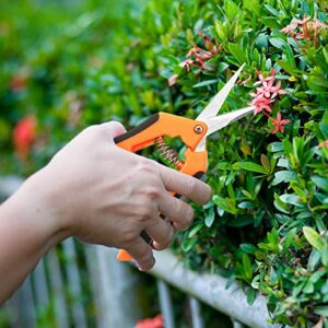 DEFUTAY Gardening Scissors, Hand Pruner,Pruning Shears Set for Flowers, Potting,House plants