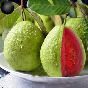 100 guava fruit tree seeds for planting - exotic and delicious tropical fruit. great for live indoor bonsai tree - fruit seed for sewing