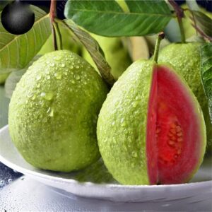 100 Guava Fruit Tree Seeds for Planting - Exotic and Delicious Tropical Fruit. Great for Live Indoor Bonsai Tree - Fruit Seed for Sewing