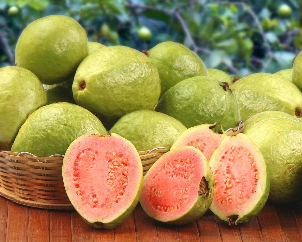 100 Guava Fruit Tree Seeds for Planting - Exotic and Delicious Tropical Fruit. Great for Live Indoor Bonsai Tree - Fruit Seed for Sewing