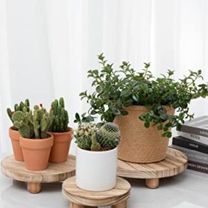 Set of 3 Mini Wooden Stool Display Stand - Round Decorative Flower Shelf Bonsai Rack Garden Plant Pot Riser Holder Modern Plant Stand with Wood Grain for Indoor Outdoor Home Patio Decoration (S, M, L)