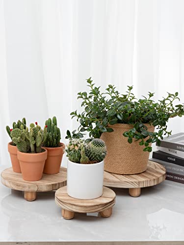 Set of 3 Mini Wooden Stool Display Stand - Round Decorative Flower Shelf Bonsai Rack Garden Plant Pot Riser Holder Modern Plant Stand with Wood Grain for Indoor Outdoor Home Patio Decoration (S, M, L)