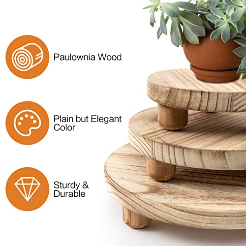 Set of 3 Mini Wooden Stool Display Stand - Round Decorative Flower Shelf Bonsai Rack Garden Plant Pot Riser Holder Modern Plant Stand with Wood Grain for Indoor Outdoor Home Patio Decoration (S, M, L)