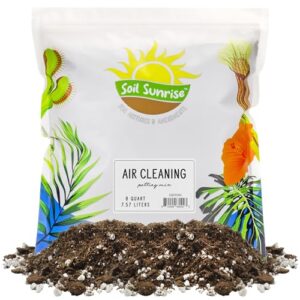 air cleaning plant potting mix (8 quarts), soil mix for pothos, parlor palm, peace lily, etc.