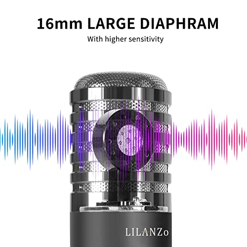 LILANZo USB Condenser Microphone for PC PS4, PS5 Streaming Singing Podcast Studio, Computer Cardioid Gaming Mic Kit for Recording YouTube with Boom Arm Stand Pop Filter, Mute Button, Volume, Echo