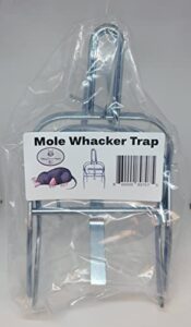 mole whacker trap