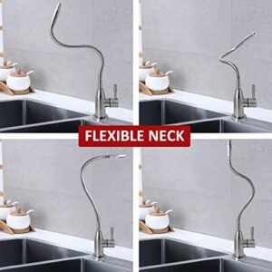 Upgrade Drinking Water Faucet with Flexible Gooseneck, 360 Degree Rotatable Water Filter Faucet, Kitchen Bar Sink Faucet Lead-Free Cold Water Faucet - Brushed Stainless Steel by Lesica-RY