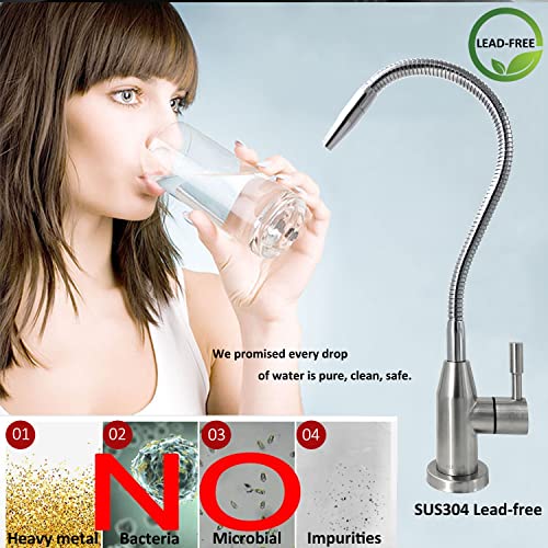 Upgrade Drinking Water Faucet with Flexible Gooseneck, 360 Degree Rotatable Water Filter Faucet, Kitchen Bar Sink Faucet Lead-Free Cold Water Faucet - Brushed Stainless Steel by Lesica-RY