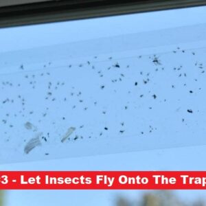Window Fly Traps by Titan Traps - Sticky Fly Paper, Window Bug Catcher, Indoor Fly Trap, Fly Paper Bug Sticky Strips, Window Fly Strips, Bug Sticky Trap - 15 Disposable Fly Traps (1 Pack)