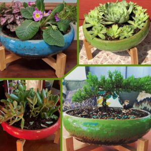 ARTKETTY 7.3/10 Inch Succulent Pots with Drainage Trays Large Succulent Planter with Stand Round Bonsai Pots Ceramic Flower Planter Pot for Indoor Cactus Plants