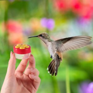 Hand Hummingbird Feeder 4 Pieces Window Flower Hummingbird Feeder Mini Handheld Hummingbird Feeder Humming Bird Feeder Wild Bird Feeders with Cleaning Brush for Outdoor Supplies, Red and Yellow