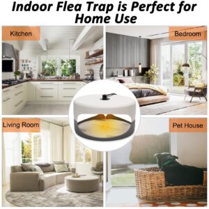 Flea Trap,2 Pack Flea Traps for Inside Your Home,Indoor Flea Light,Bed Bug Killer with Sticky Pads & Light Bulb Replacement,Odorless Natural Flea Insect Infestation Treatment Trap for Kid Pet