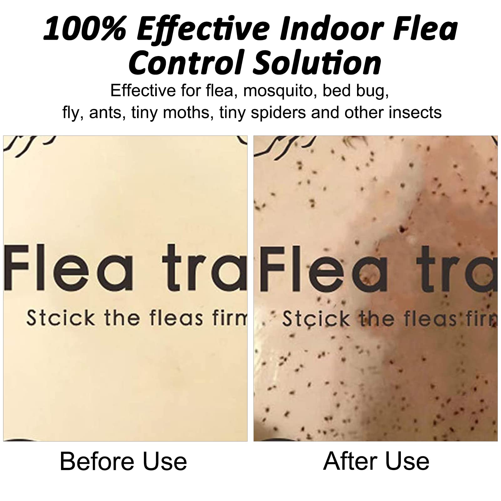 Flea Trap,2 Pack Flea Traps for Inside Your Home,Indoor Flea Light,Bed Bug Killer with Sticky Pads & Light Bulb Replacement,Odorless Natural Flea Insect Infestation Treatment Trap for Kid Pet