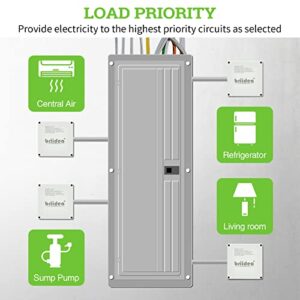 50 Amp Smart Management Module (SMM), Briidea Load Management Device to Protect Generator from Overload, Gray