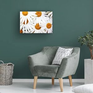 Trademark Fine Art 'Daisy Splash' Canvas Art by Michael Broom