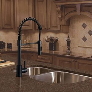 Lippert Flow Max Coiled Pull Down Kitchen Faucet for RVs and Residential,2021090598